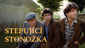Obrázek pořadu Stepující stonožka
