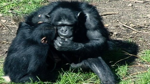 PORT - 18. listopadu 2011