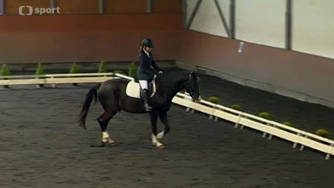 Jezdectví - M ČR v paradrezuře 2012