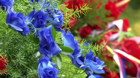 Pietní shromáždění k uctění památky obětí komunismu - 2009