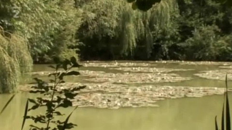 Přidej se - Soukromá ochrana přírody