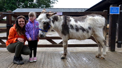 Můj mazlíček a já - 13/20 Osel