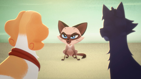 Belfort a Lupin - Závažná neshoda