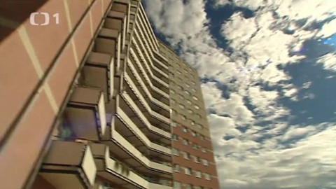 Černé ovce - 7. listopadu 2012