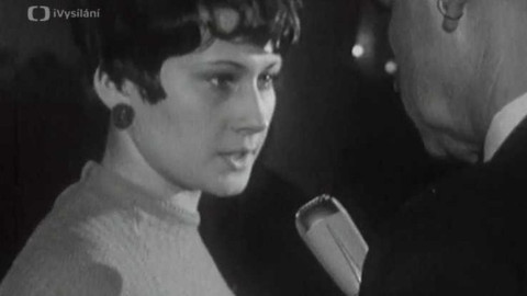 Věc veřejná - O akčním programu