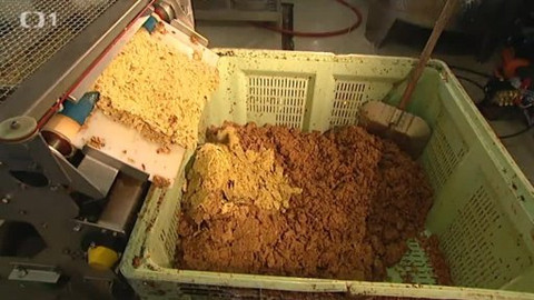 Černé ovce - 18. listopadu 2013