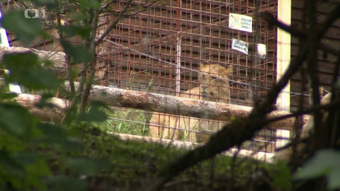 Týden v regionech (Brno) - 9. března 2019