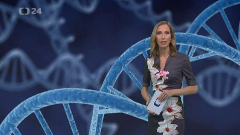 Horizont ČT24 - 15. listopadu 2019