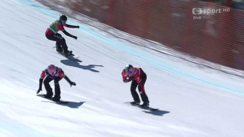 Světový pohár ve snowboardingu - Švýcarsko