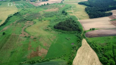 Minuty z přírody - Polabská černava