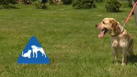 Chcete mě? - Chcete je?