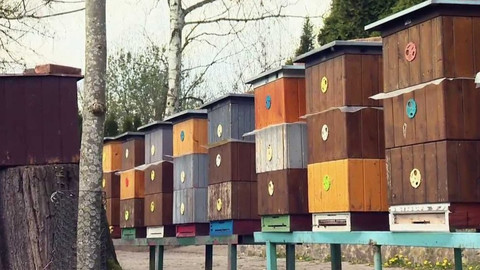 Polopatě - 24. dubna 2016