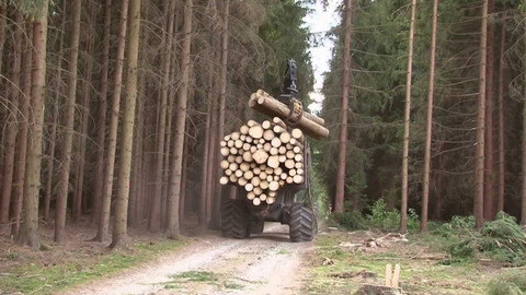 Nedej se! - Kampaň proti přírodě