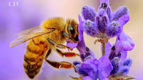 Polopatě - 16. května 2021