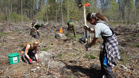 Nedej se! - Lesy za časů pandemie