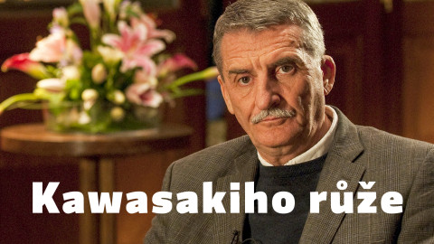 Kawasakiho růže
