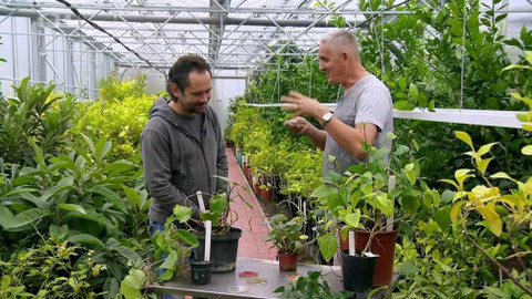 Polopatě - 10. listopadu 2019