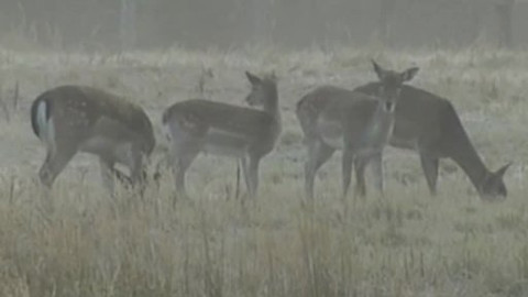 Tisíc let české myslivosti - 3. června 2010