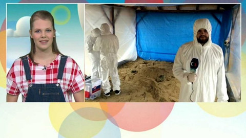 Zprávičky - 22. března 2017