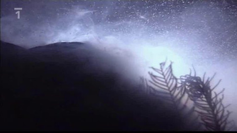 Kaleidoskop - 5. prosince 2010