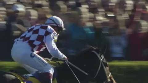 Velká pardubická - Před Velkou pardubickou