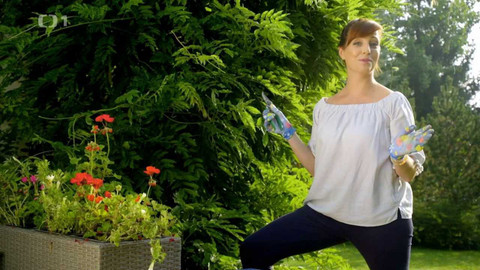 Všechno, co mám ráda - Epizoda 174/47