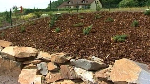 Zahrada je hra - 7. srpna 2008