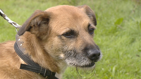 Chcete mě? - Chcete je?