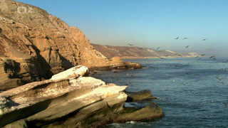 Americké ostrovy s Martinem Clunesem