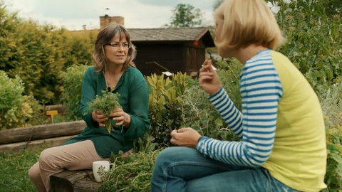 Kouzelné bylinky - Záhadná lymfa