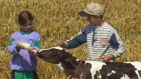 Příběhy o telátku - Epizoda 7/7