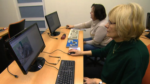 Fokus ČT24 - 12. března 2011