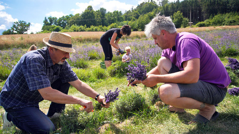 Trvalé bydliště venkov - 7/16 Moravská Provence