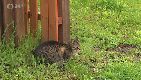 Regiony ČT24 - 22. dubna 2023