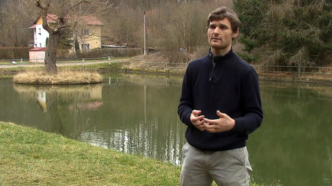 Nedej se! - Berounská zeleň