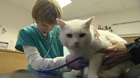 Zprávičky - 12. února 2011