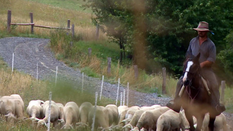 Nedej se! - Normální život