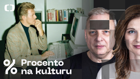 Procento na kulturu - Procento na umění
