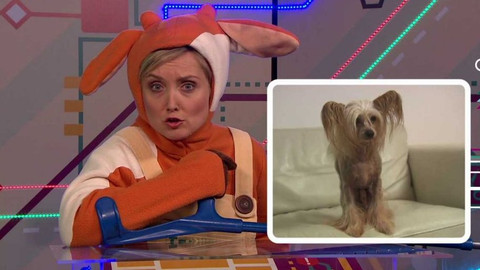 Telefon - 18. listopadu 2016