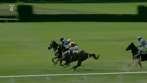 Velká pardubická - 1. kvalifikace