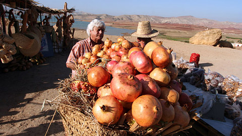 Bohové a mýty staré Evropy - 3/13 Tři zlatá jablka Hesperidek