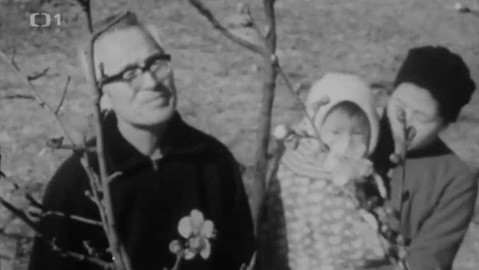 Televizní noviny - 2. února 1968