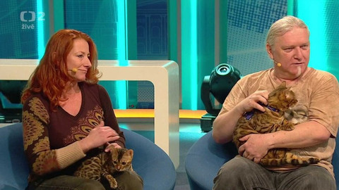 Dobré ráno - 12. března 2019