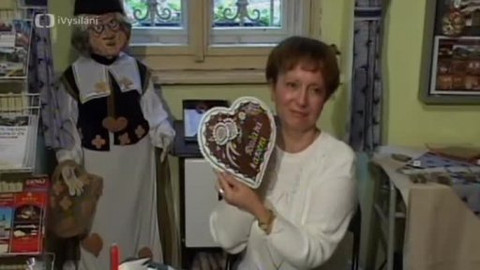 Toulavá kamera - 29. ledna 2006