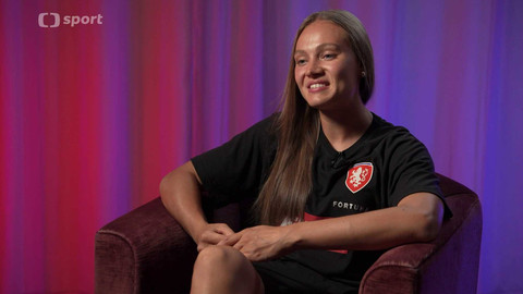 Lvice mimo hřiště - Jana Žufánková