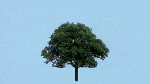 Genus - Život režiséra Břetislava Pojara pohledem Matěje Mináče