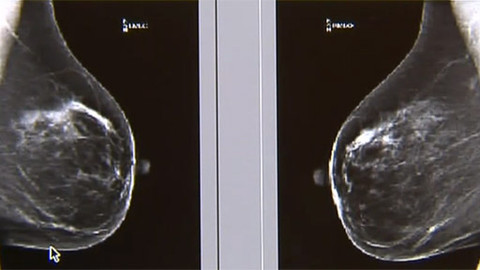 Tep 24 - 11. února 2012