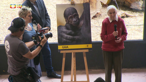 Zprávičky - 12. května 2024