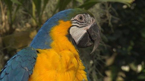 Chcete mě? - 26. dubna 2018