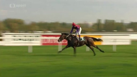 Turf - 16. dubna 2014